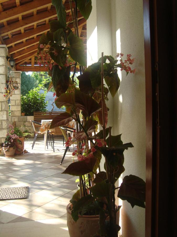 Apartments By The Sea Sladjenovici, Dubrovnik - 11531 Slano Εξωτερικό φωτογραφία